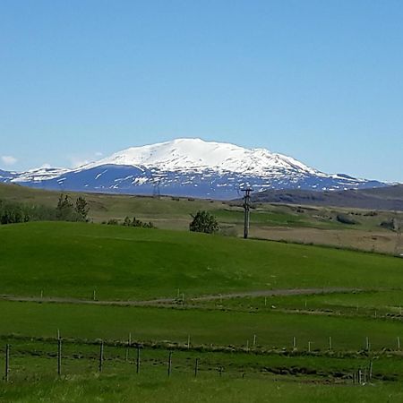 Guesthouse Geldingaholt Árnes Екстериор снимка